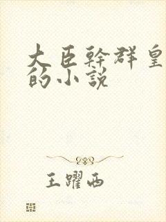 大臣干群皇太后的小说