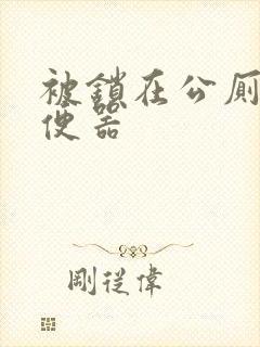 被锁在公厕当坐便器