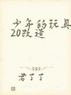 少年的玩具1一20改造