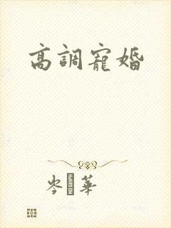 高调宠婚