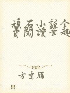 顽石小说全文免费阅读笔趣阁