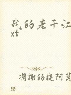 我的老千江湖txt