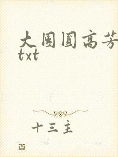大团圆高芳小说txt