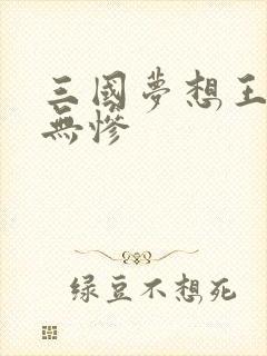 三国梦想王元姬无惨