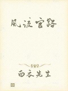风流官路