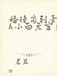 婚后脔到青梅哭h小白兔宫交h