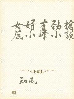 女婿有劲枪枪到底小峰小说