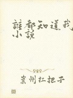 谁都知道我爱你小说