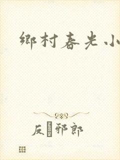 乡村春光小说