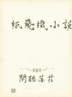 纸飞机小说