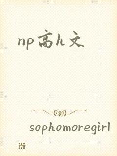 np高h文