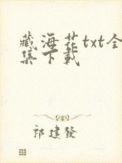 藏海花txt全集下载