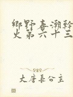 乡野春潮干柴烈火第六十三章