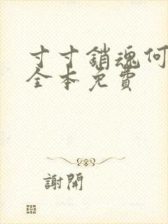 寸寸销魂何生祥全本免费