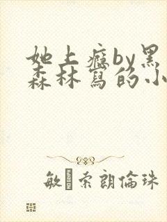 她上瘾by黑暗森林写的小说免费阅读无弹窗