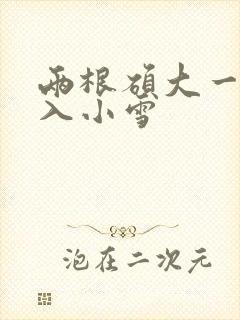 两根硕大一起挤入小雪