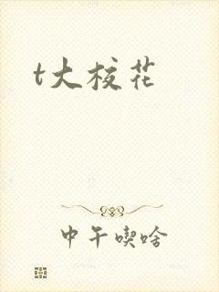 t大校花