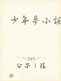 少年梦小说