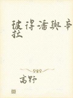 彼得潘与辛德瑞拉