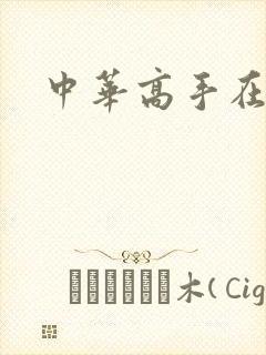 中华高手在异世