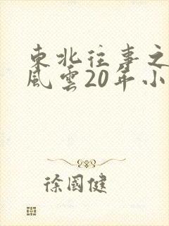 东北往事之黑道风云20年小说