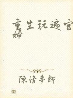 重生玩遍官场贵妇