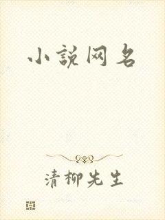 小说网名