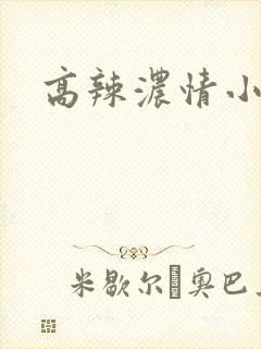 高辣浓情小说
