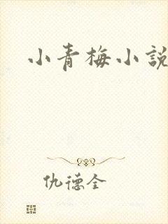 小青梅小说
