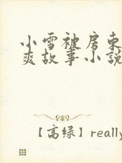 小雪被房东的好爽故事小说