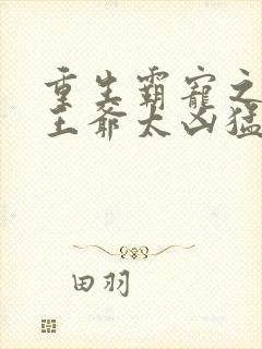 重生霸宠之摄政王爷太凶猛