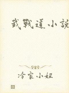 武战道小说