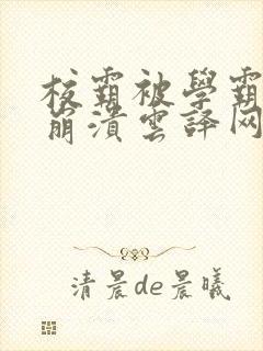 校霸被学霸玩到崩溃云译网