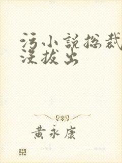 污小说总裁整夜没拔出