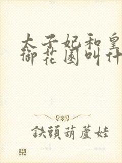 太子妃和皇帝在御花园叫什么小说