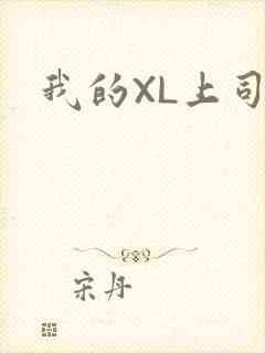 我的XL上司