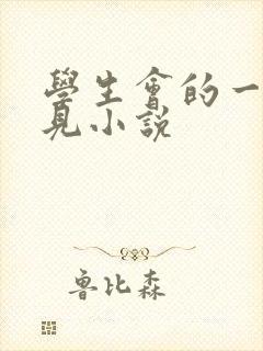 学生会的一己之见小说