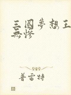 三国梦想王元姬无惨