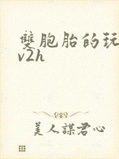 双胞胎的玩具1v2h