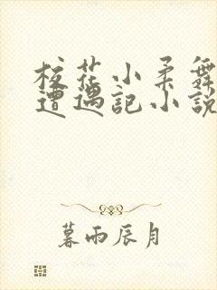 校花小柔舞蹈室遭遇记小说