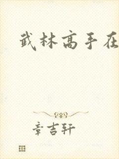 武林高手在异界