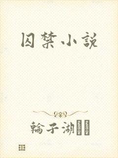 囚禁小说