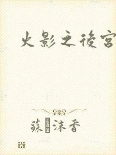 火影之后宫佳丽