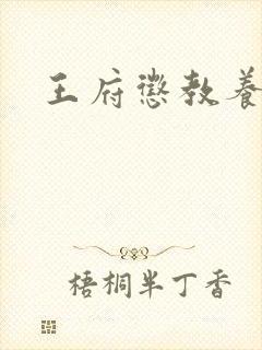 王府惩教养日常