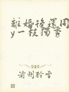 离婚后还同居by一枝独秀