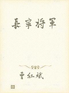 长宁将军