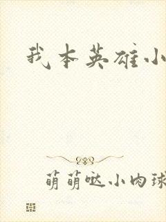 我本英雄小说