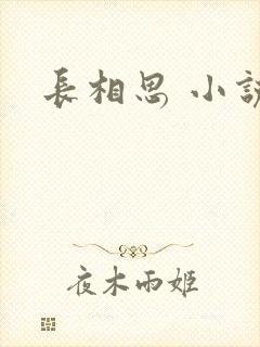 长相思 小说