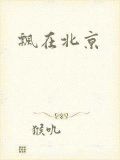 飘在北京