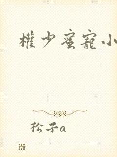 权少蜜宠小娇妻